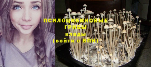 ECSTASY Абинск