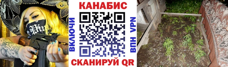 Конопля семена Вилюйск